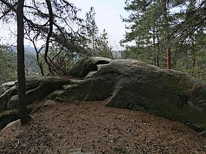 Cathedral Rock
