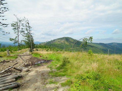 Malinów, autor: Phrynczyszyn, Mapy.cz