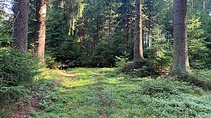 Lučkov JV