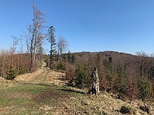 Čerchla V