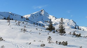 Schoberspitze