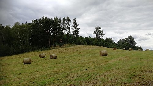 Křenovský vrch - SV vrchol