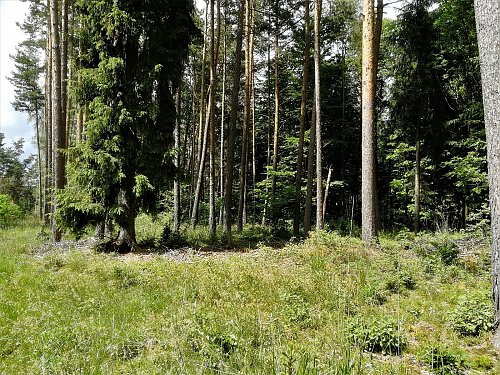 Lazecký vrch J vrchol