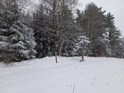 Nad Spodním polem