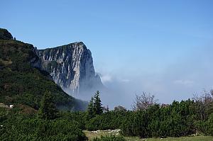 Alberfeldkogel