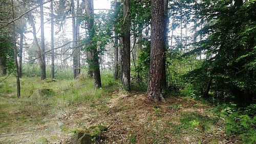 Soudný les - Z vrchol, autor: Vladimír Grančay