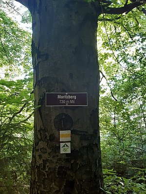 Moritzberg