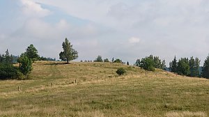 Kočičí vrch