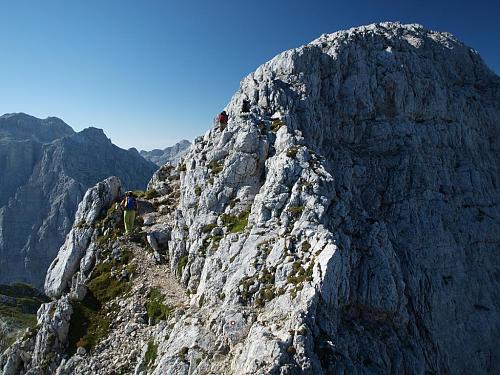 Bovški Gamsovec