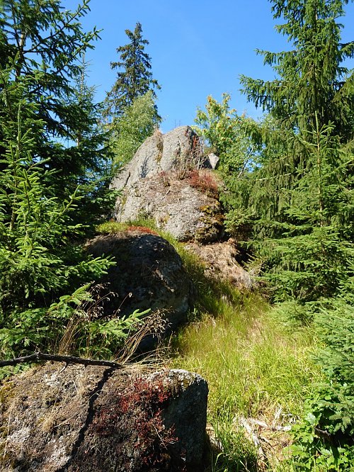 Skaliny