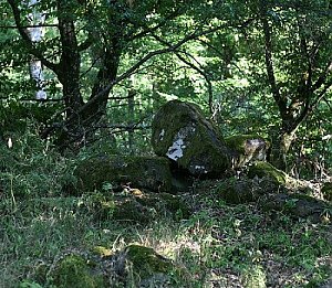 Hradišťský kopec - SZ vrchol