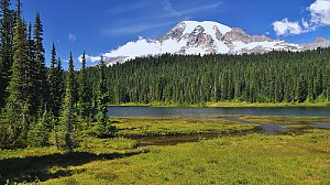 Mount Rainier