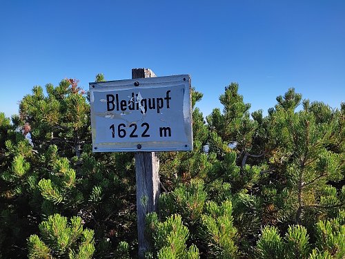 Pledigupf