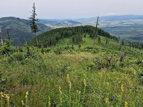 Kobylí vrch, autor: Rastislav Biarinec