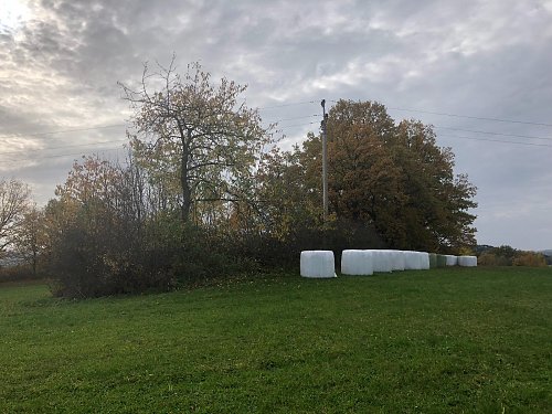 V Remízku