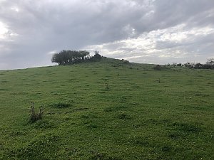 Březina - JV vrchol