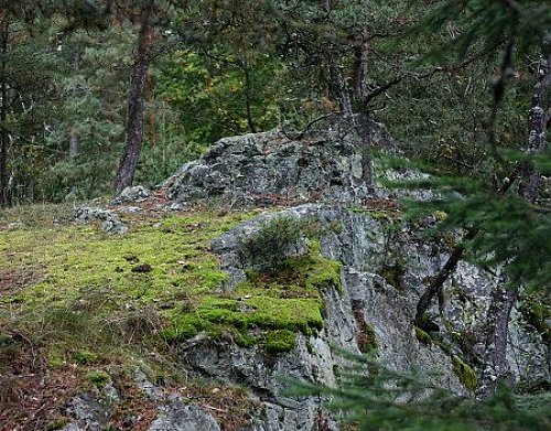 Kokotsko - Z vrchol