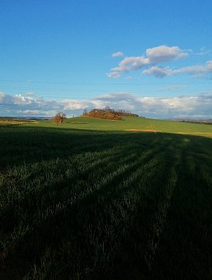 Morový pahorek