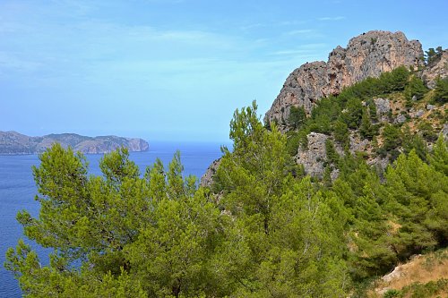 Penya des Migdia