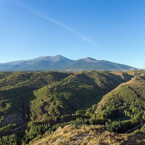 Moncayo