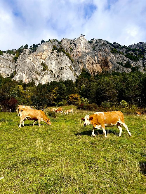 ÖTK-Klettergarten - Hohe Wand