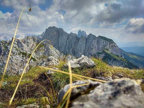 Steinriesenkogel