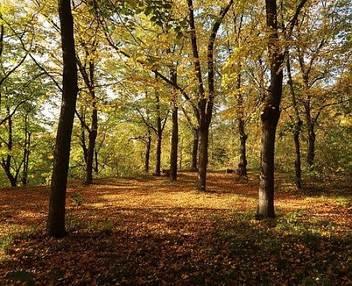 Lobezský park - jih