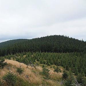 Wolf Ridge J1