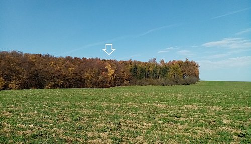Vlčí hora