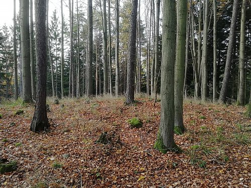 Zadní Výhledy V vrchol