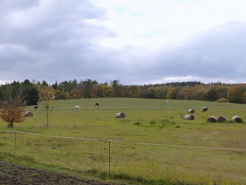 Velká strana