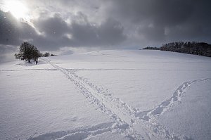 Vápenný vrch