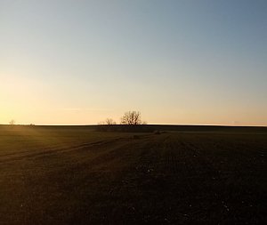 Žerotínky