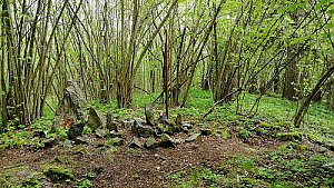 Městský vrch