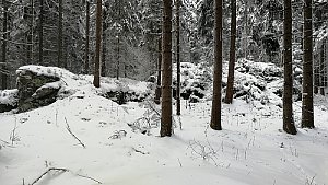 Na skalce J