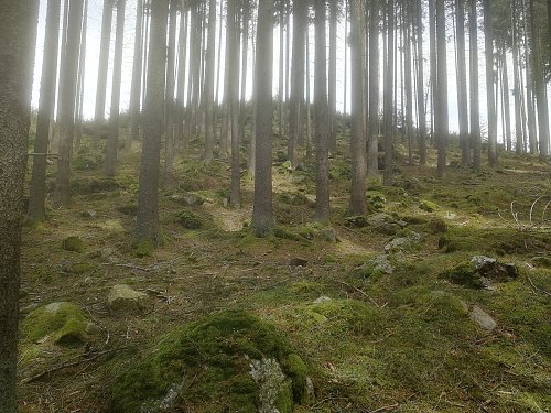 Kobylí vrch - SZ vrchol