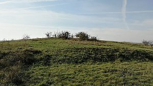 Liščí vrch