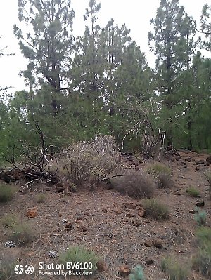 Montaña de los Poleos