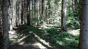Dubový vrch - SZ vrchol