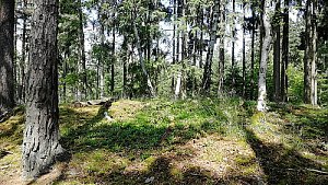 Nad Slupencem - S vrchol I