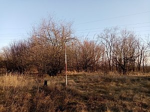 Smolisko