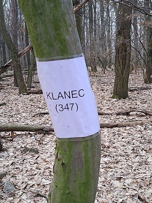 Klanec