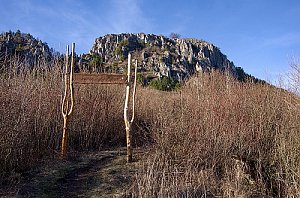 Roháč