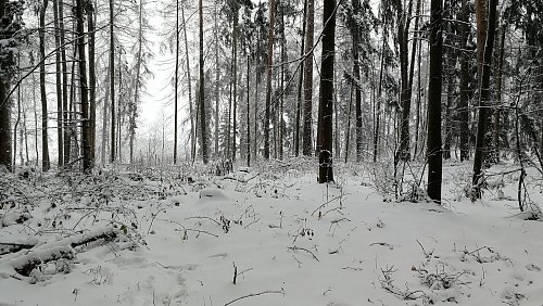 Na Boru