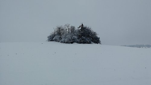 Na Březinách - SZ vrchol