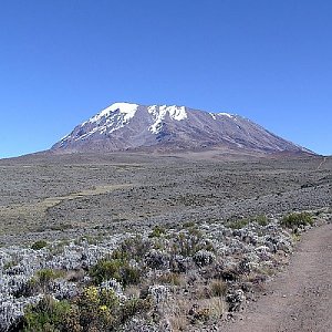 Kilimanjaro - Uhuru