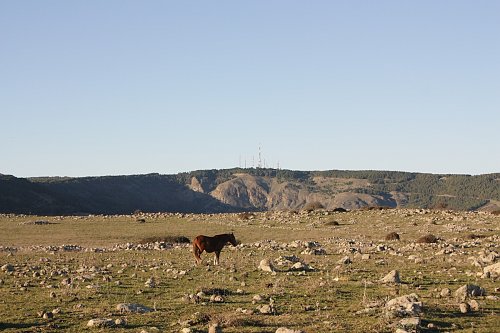 Monte Lauro
