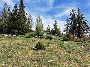 Spitzeck