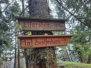 Elferstein