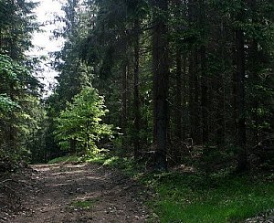 Sklenský vrch - V vrchol